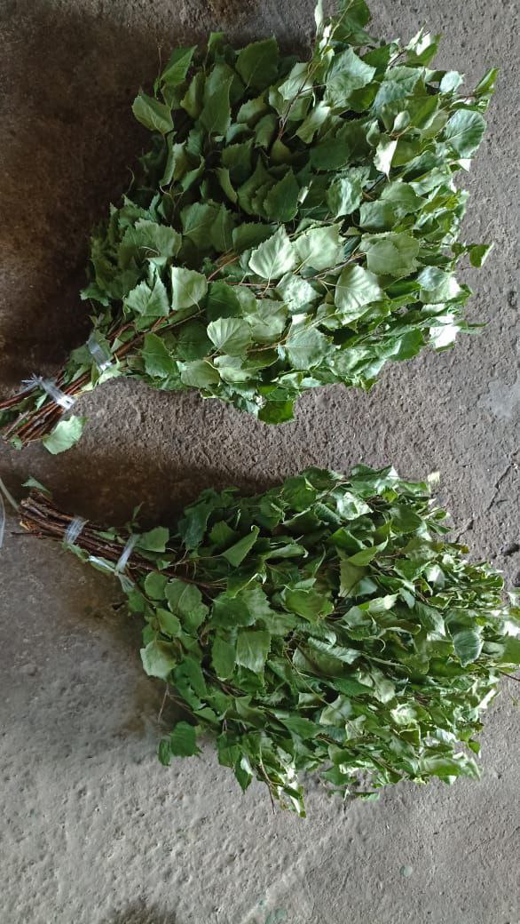 Продажа веников берёзовых и рыбы - Хобби и отдых в Казань - фото 3