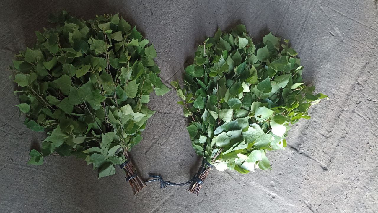 Продажа веников берёзовых и рыбы - Хобби и отдых в Казань