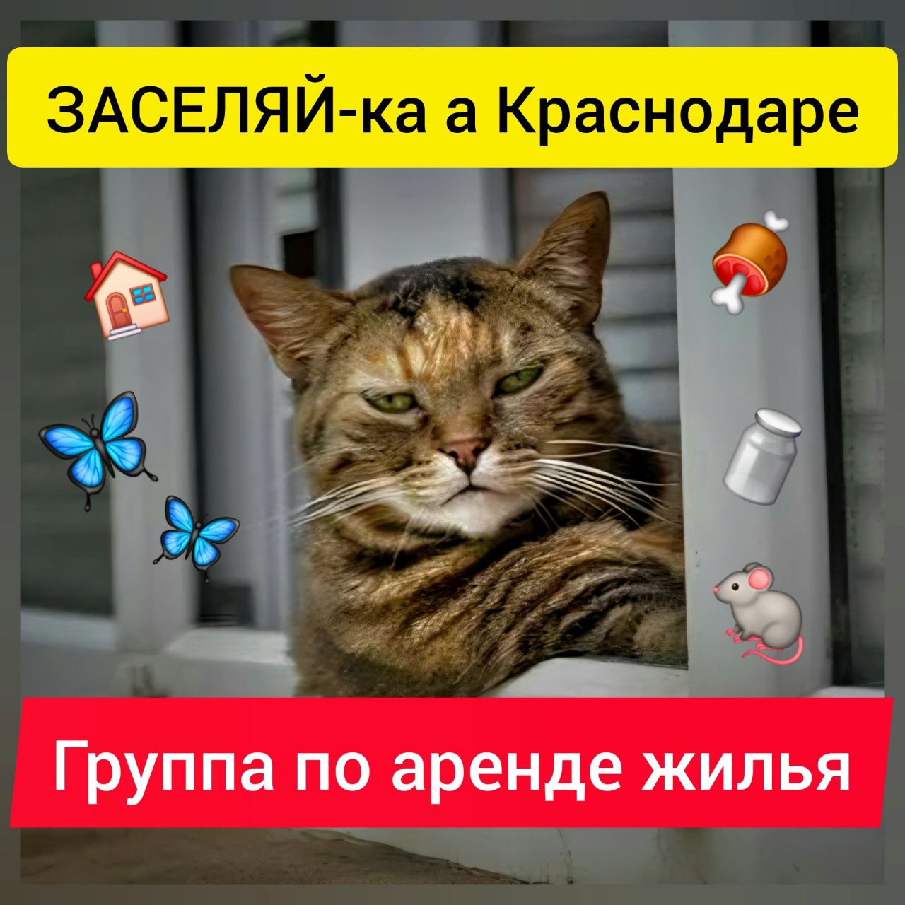 Отличная группа по аренде жилья в Краснодаре - частное объявление в Краснодар