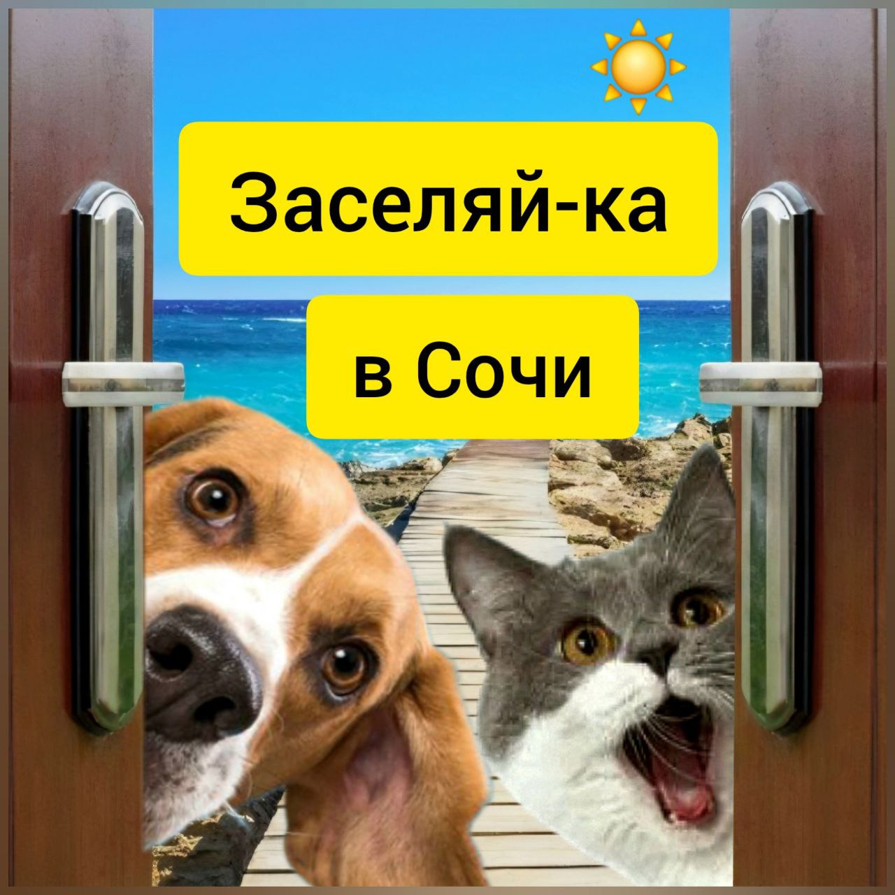 Группа по аренде жилья в Сочи - частное объявление в Сочи