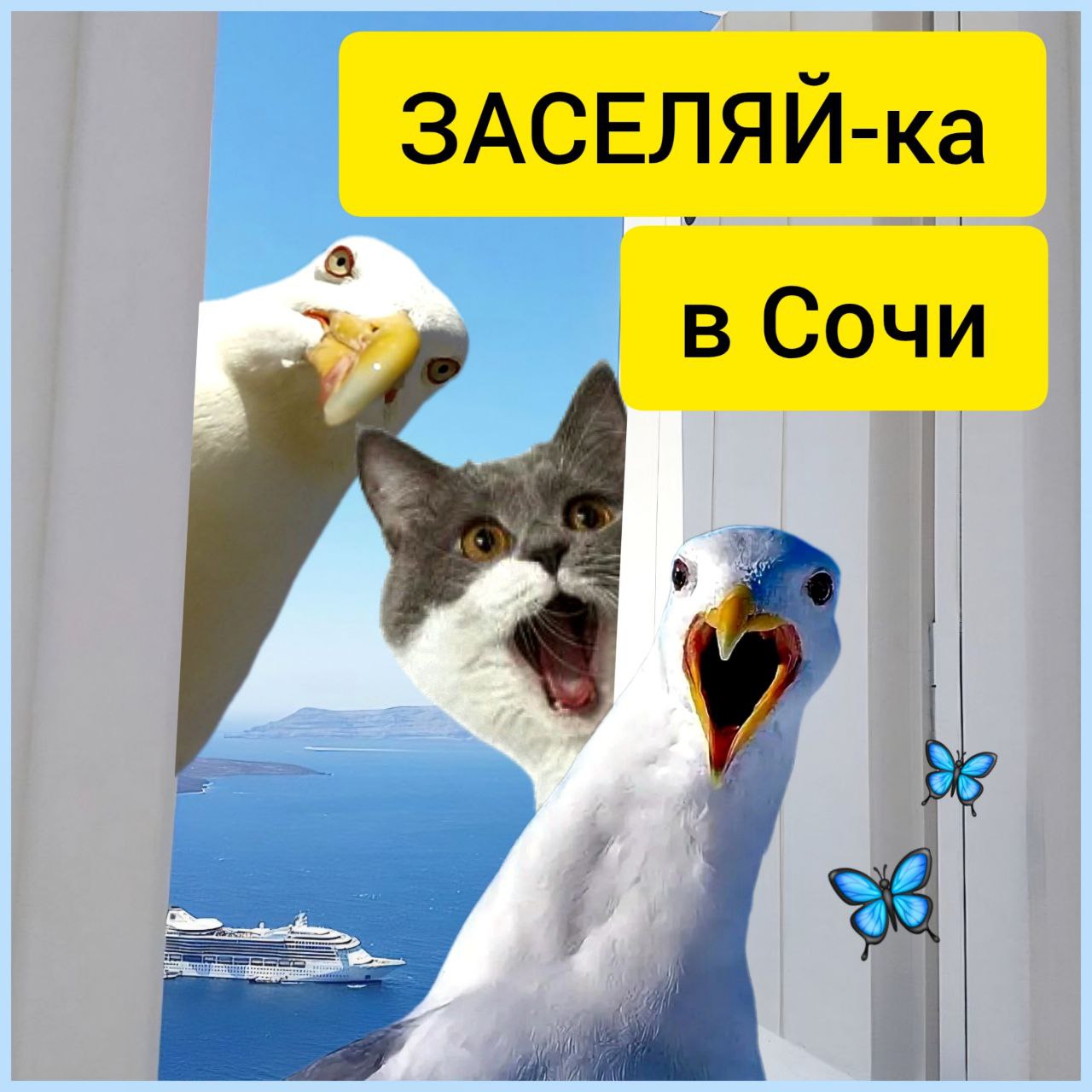 Группа по аренде жилья в Сочи - Недвижимость в Сочи