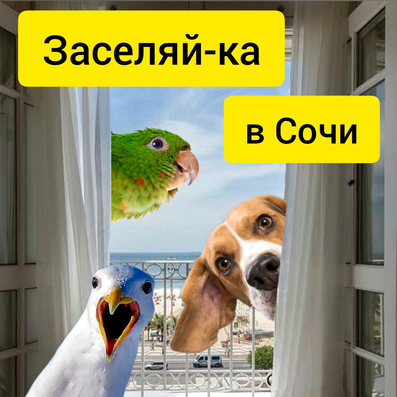 Группа по аренде жилья в Сочи - частное объявление в Сочи