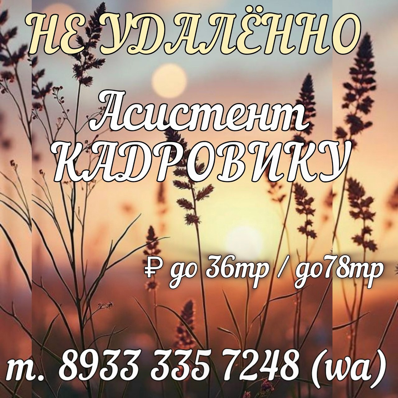 Ассистент кадровику (помощь в подборе) - Работа в Иркутск