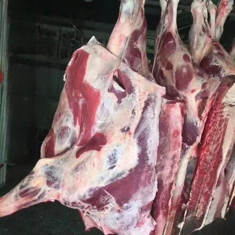 Продажа мяса из собственного хозяйства - Животные в Иркутск