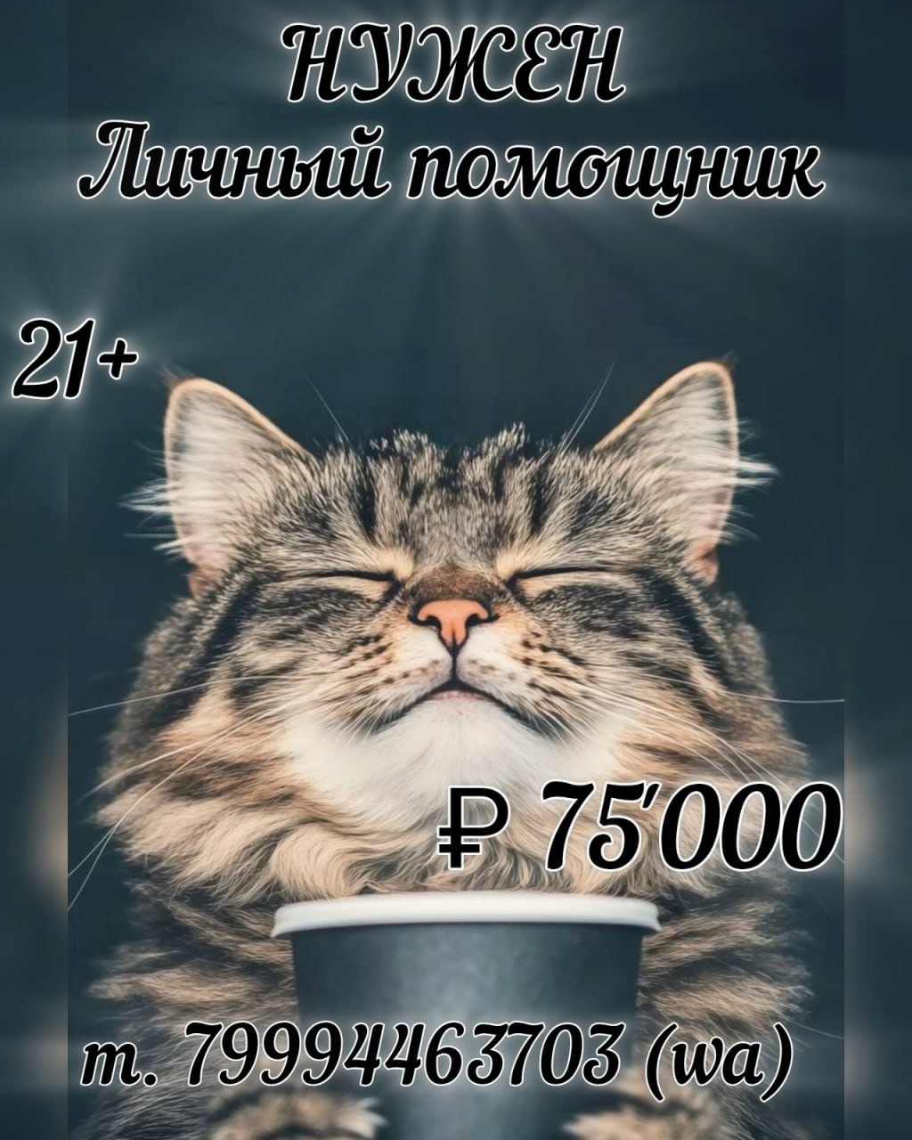 Приму Личного помощника - Работа в Иркутск