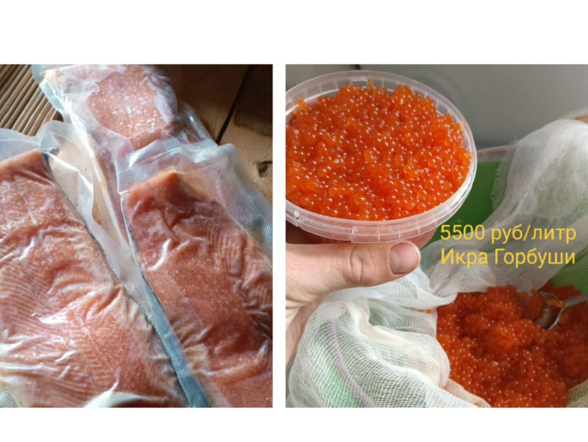 Икра горбуши и соленая горбуша - частное объявление в Артём