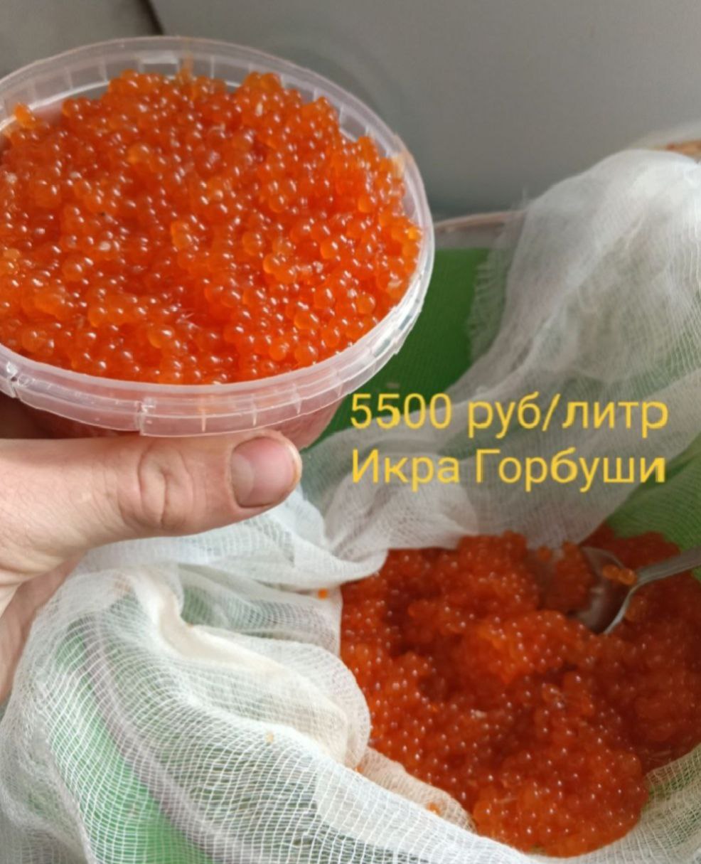 Икра горбуши домашнего посола - частное объявление в Артём