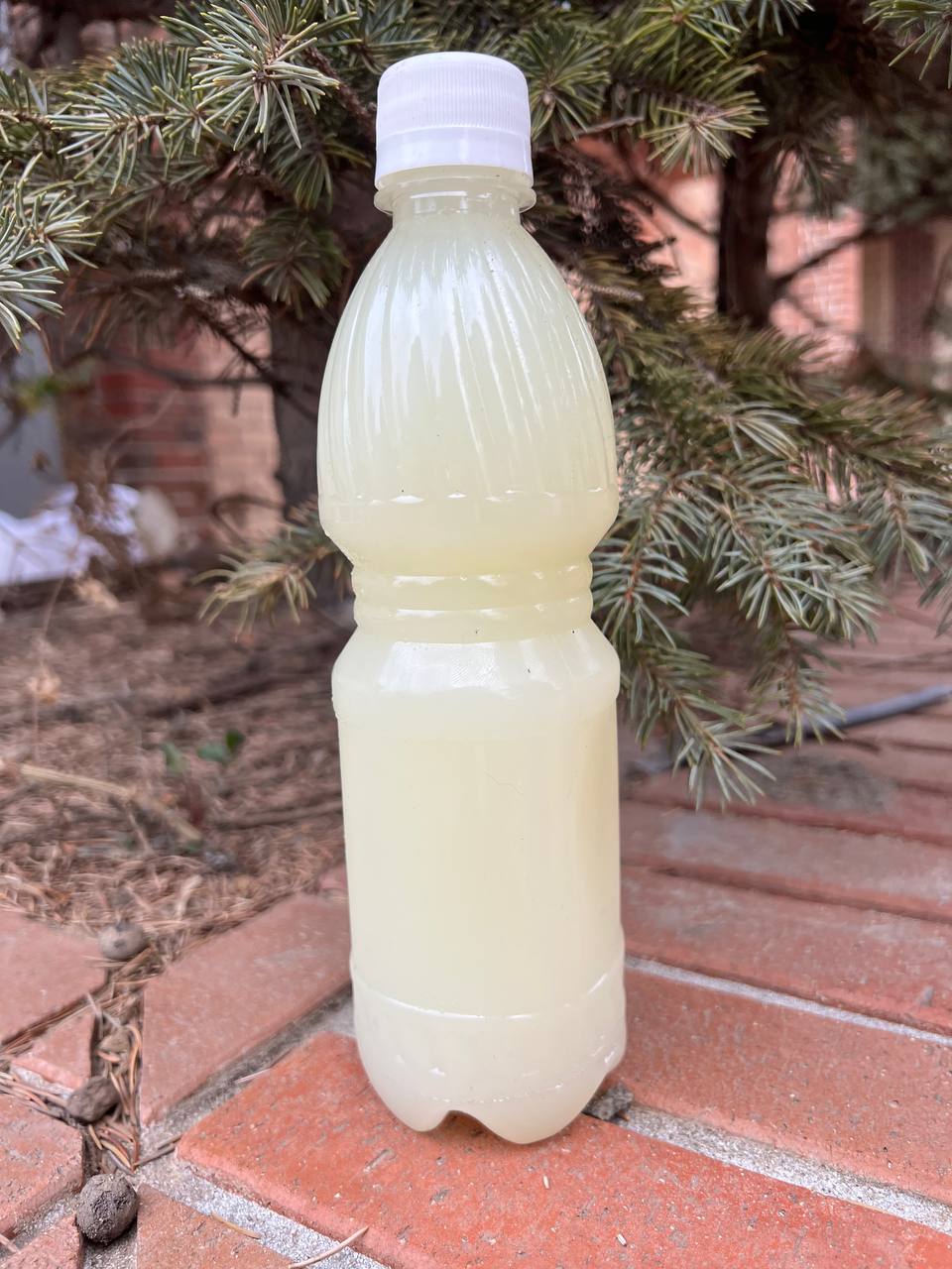 Продам Барсучий жир - Красота и здоровье в Владивосток