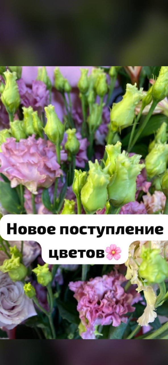 Цветочный салон Flamingo - Услуги в Кировский район