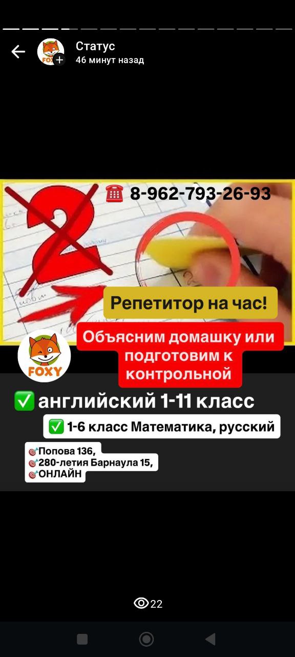 Разовые занятия с репетитором Фокси - Услуги в Барнаул