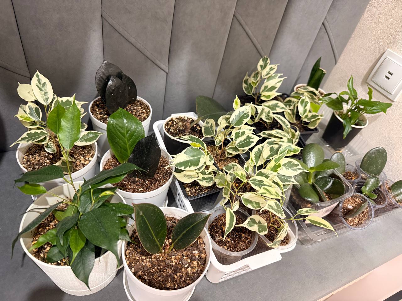 Барахолка ЖК «Домашний» - Хобби и отдых в Тюмень