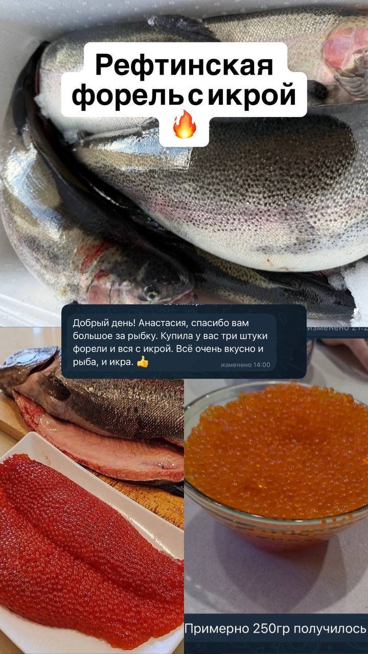 Продажа форели Рефтинск - частное объявление в Тюмень