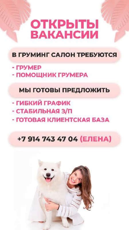 ВАКАНСИЯ: ГРУМЕР в салон «ЕСЕНИЯ» - Работа в Южно-Сахалинск - фото 1