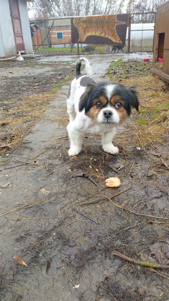 Ищем ручки, мальчик - частное объявление в Елань