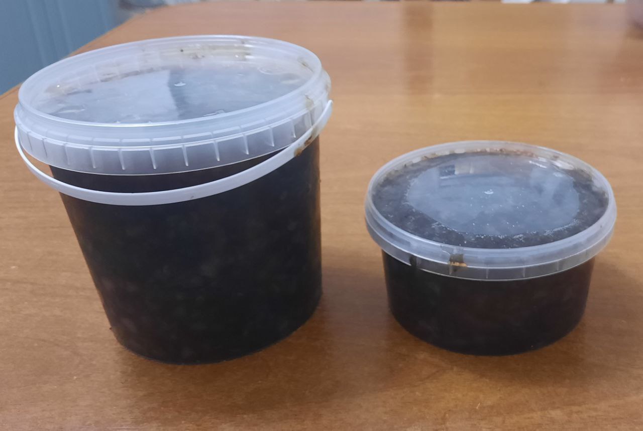 Трепанг на меду - Хобби и отдых в Владивосток