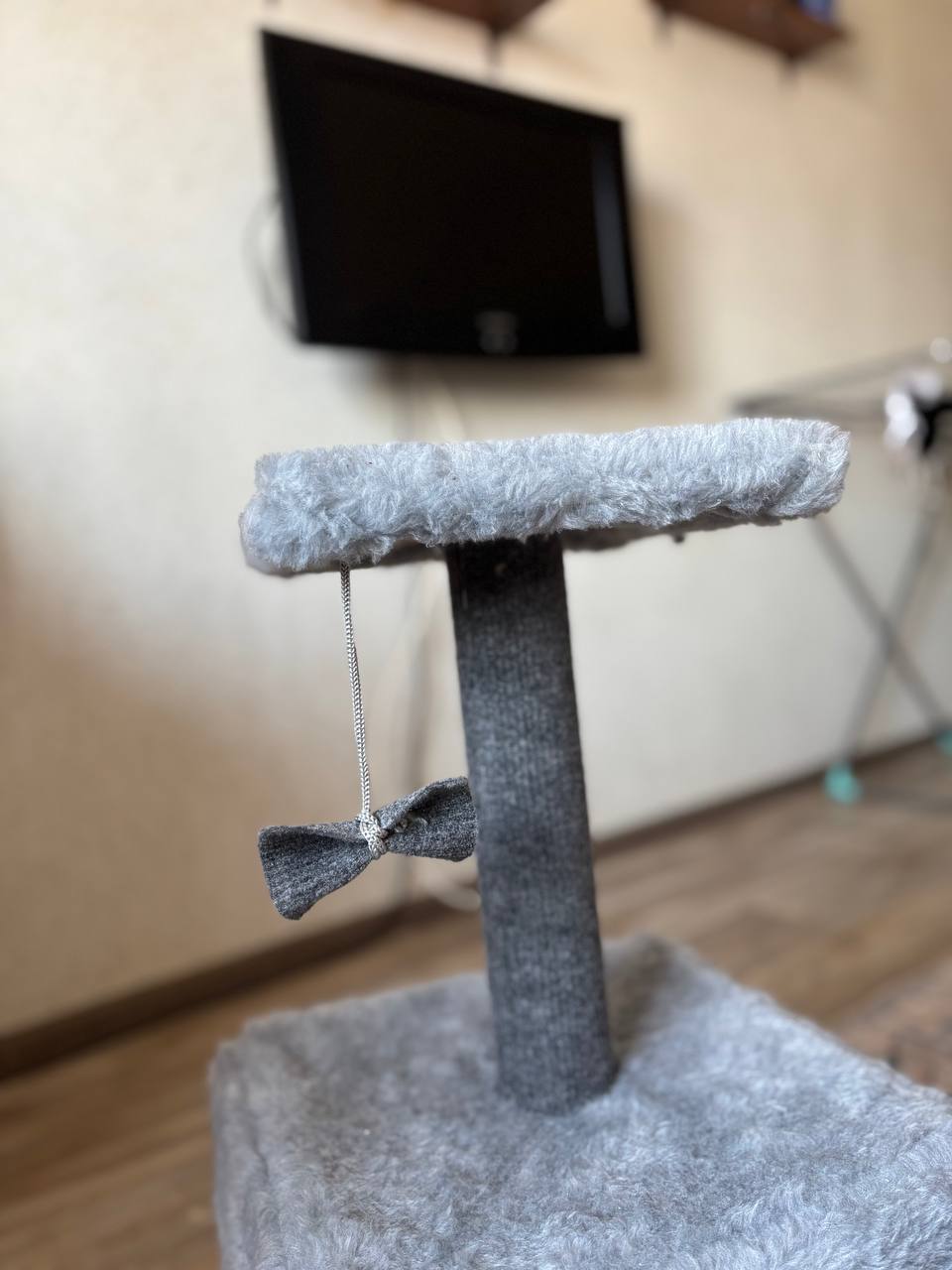 Когтеточка новая - Животные в Владивосток