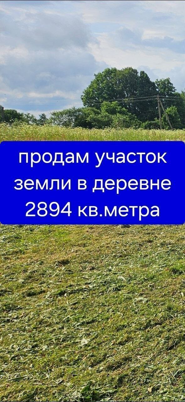 Продам участок земли в деревне под Смоленском - частное объявление в Смоленск