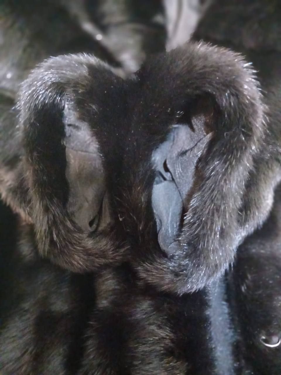 Шуба норковая поперечка 46 раз - Одежда в Москва - фото 4