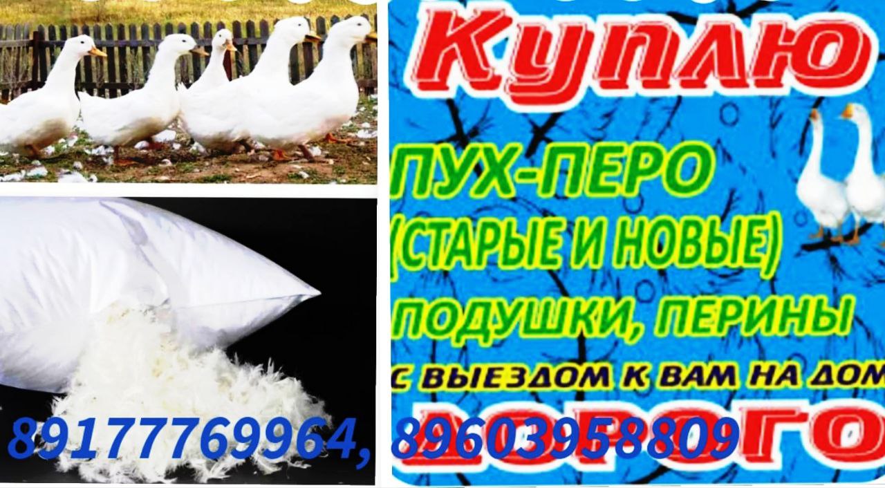 Покупка пуха и старых подушек - частное объявление в Уфа