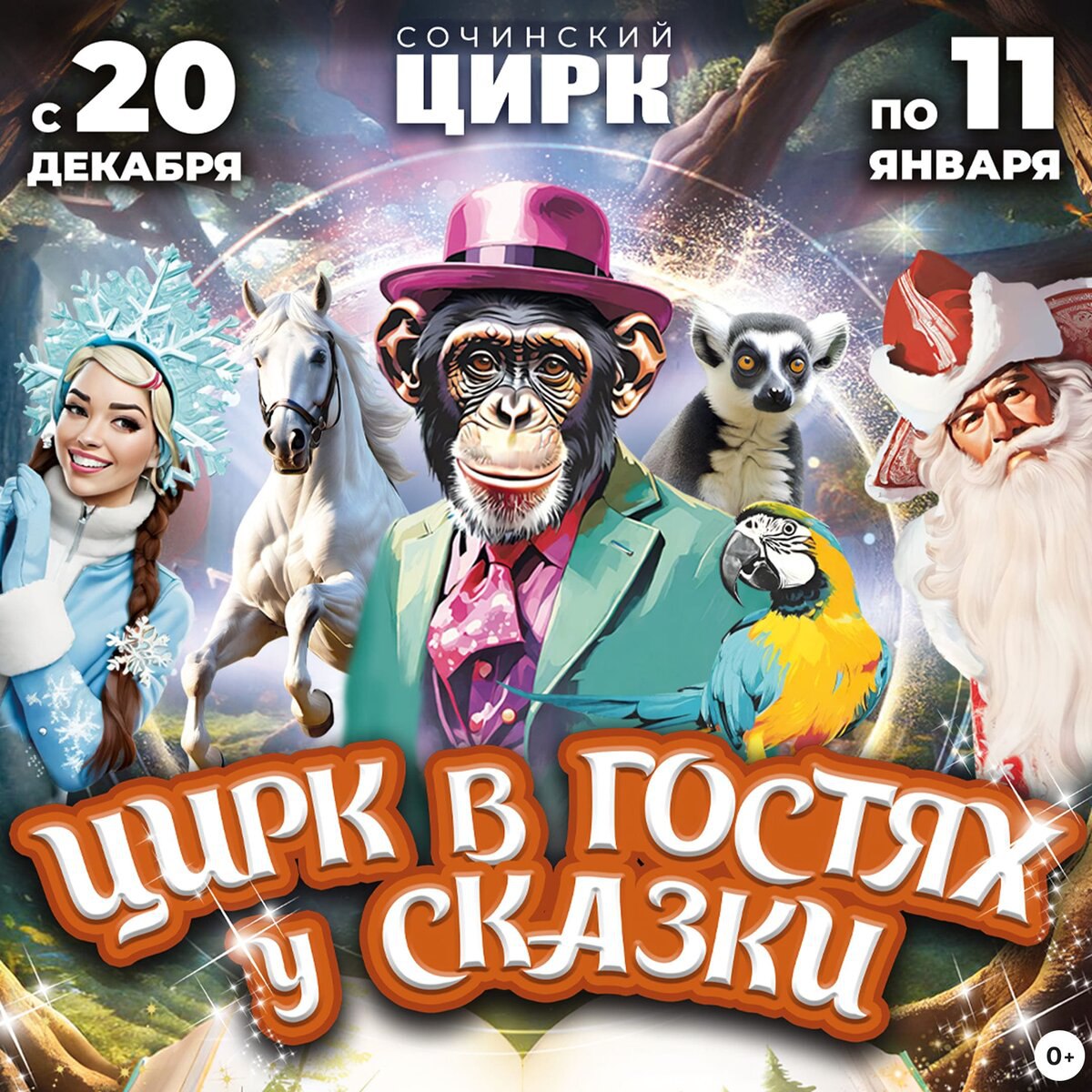 Новогодний Цирковой спектакль в Сочи - Хобби и отдых в Сочи