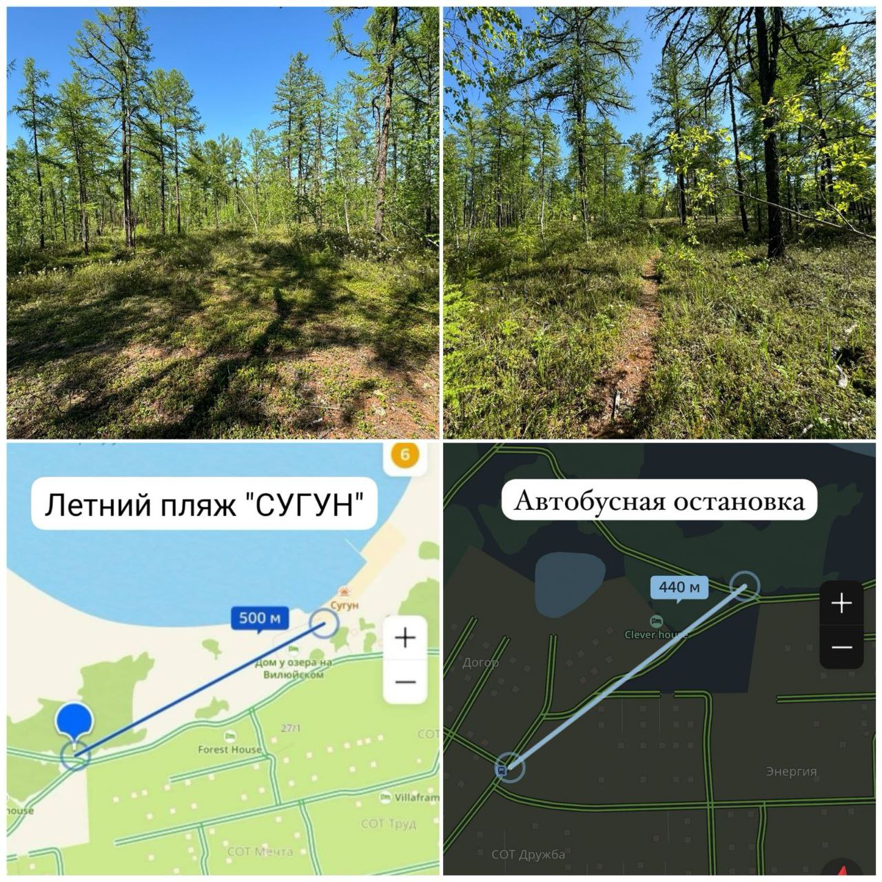 Продажа земельного участка с лесным массивом в Якутске - частное объявление в Якутск