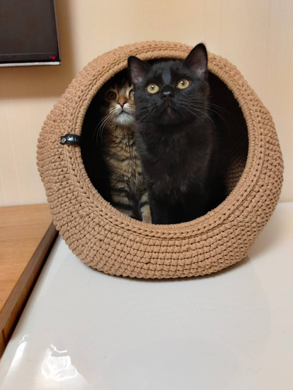 Продажа автомобиля для путешествий - частное объявление в Щёлково