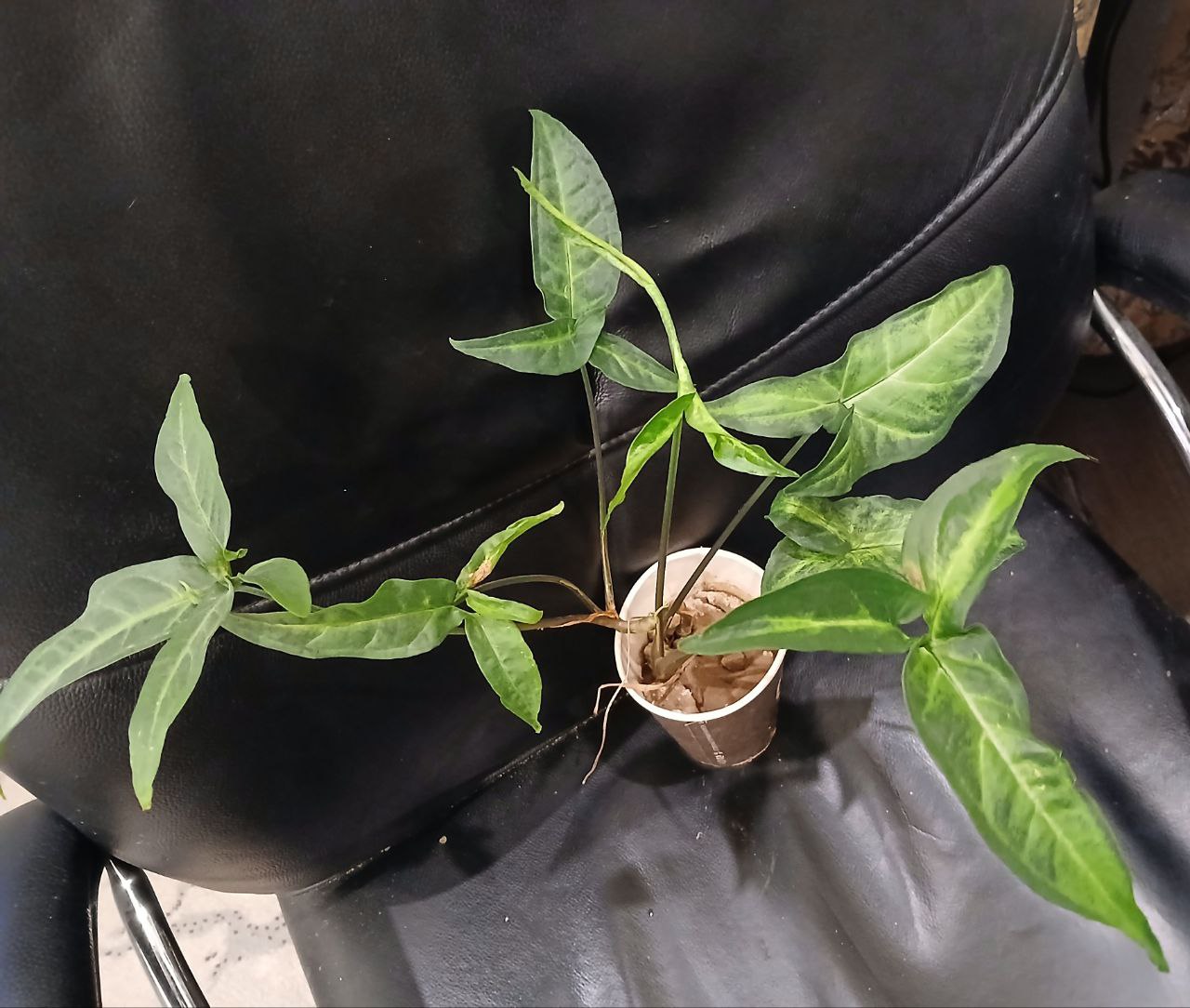 Продажа автомобиля - частное объявление в Люберцы