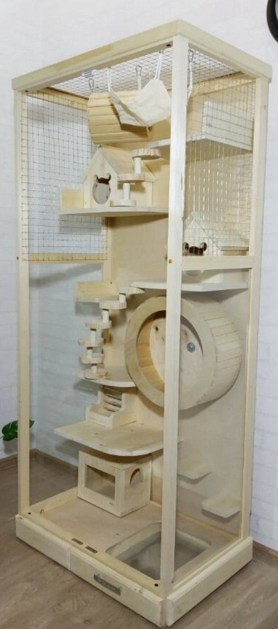 Продам витрину-клетку для животных - Животные в Люберцы