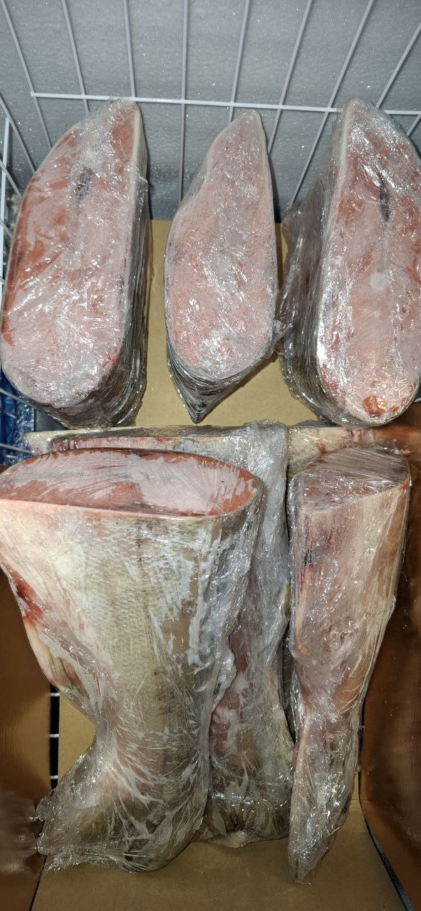 Дикий лосось-КЕТА - Хобби и отдых в Калининград - фото 2