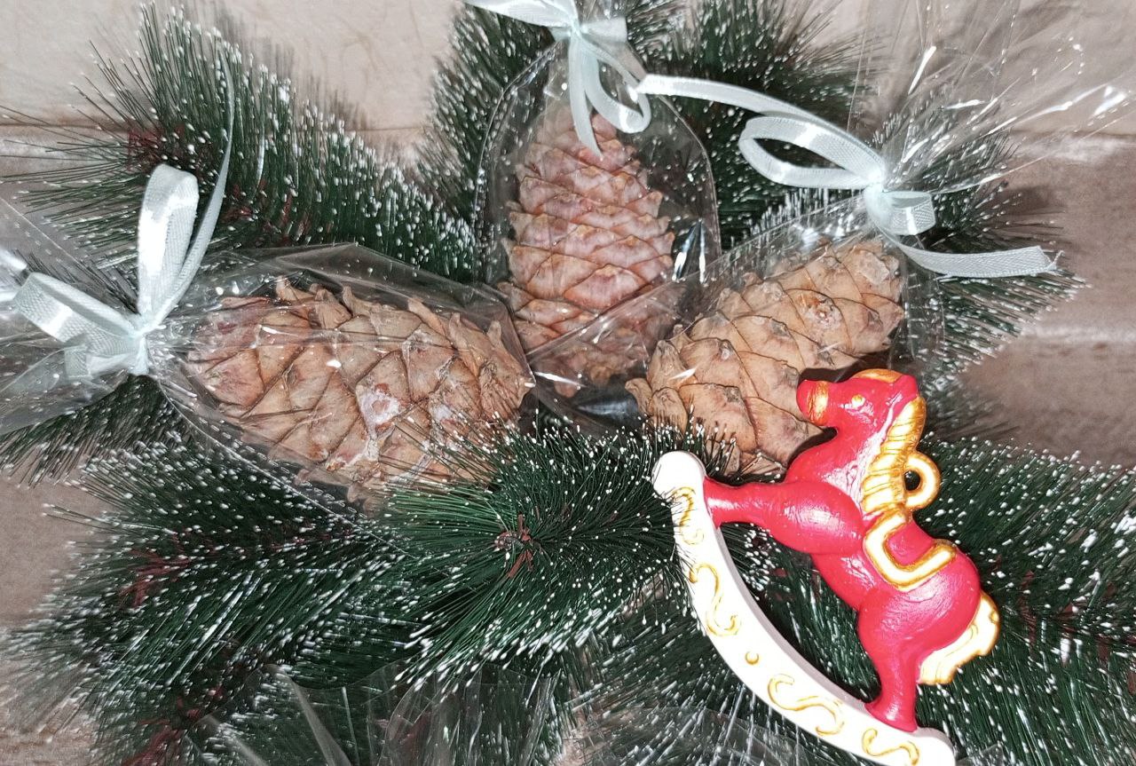 Кедровая шишка с орехами - Хобби и отдых в Калининград - фото 4