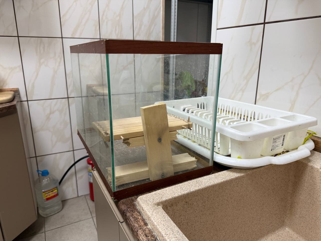 Аквариум - Животные в Воронеж