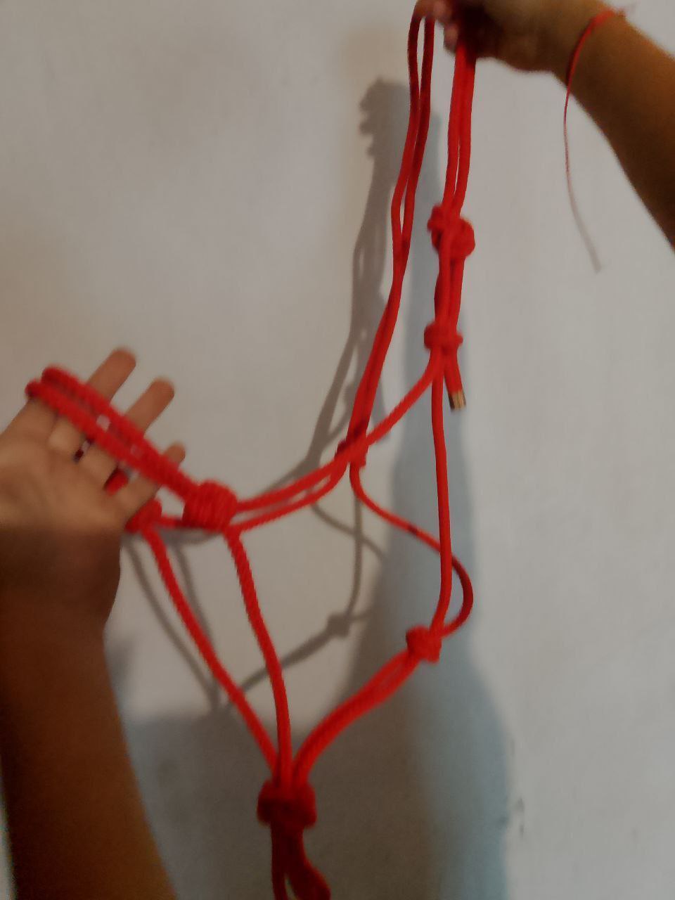 Продажа конной амуниции - Хобби и отдых в Воронеж - фото 4