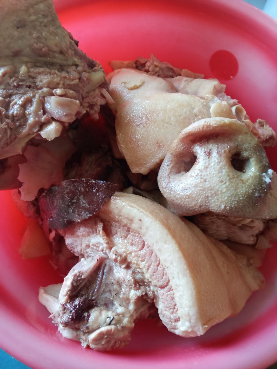 Свежая голова с языком - Животные в Белгород