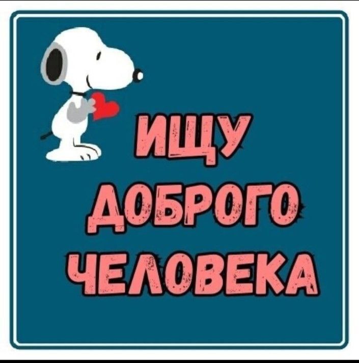 В поисках дома малыши 2 месяцев - Животные в Симферополь