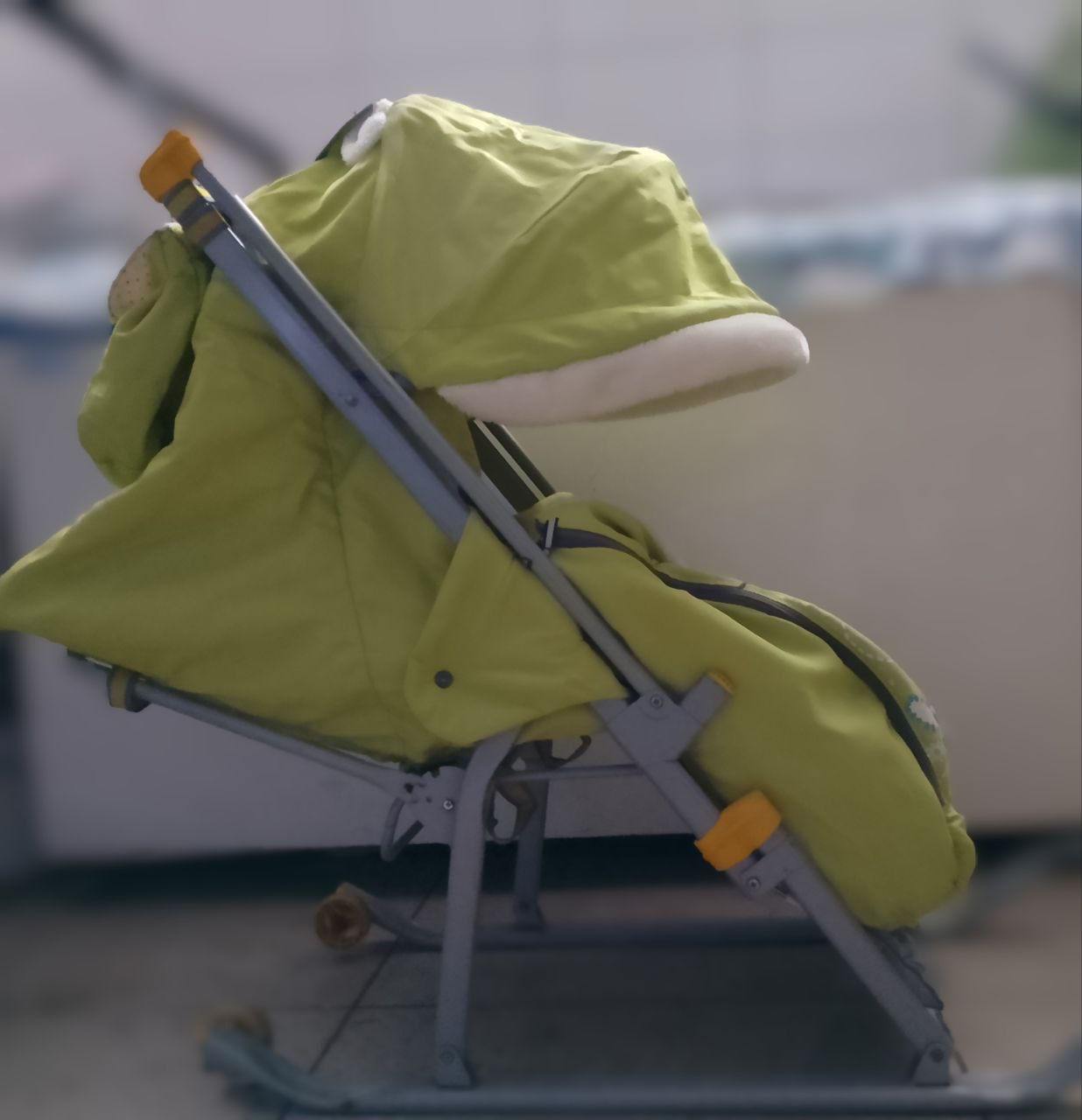 Сани Ника - частное объявление в Томск