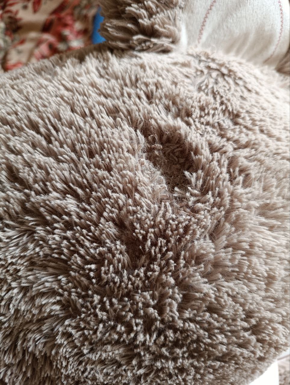 Продам медведя - Животные в Владивосток