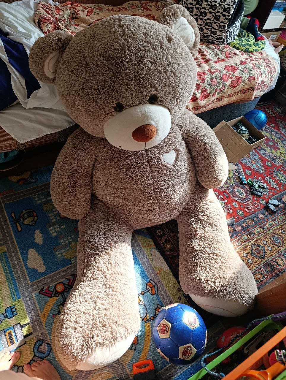 Продам медведя - Животные в Владивосток - фото 2