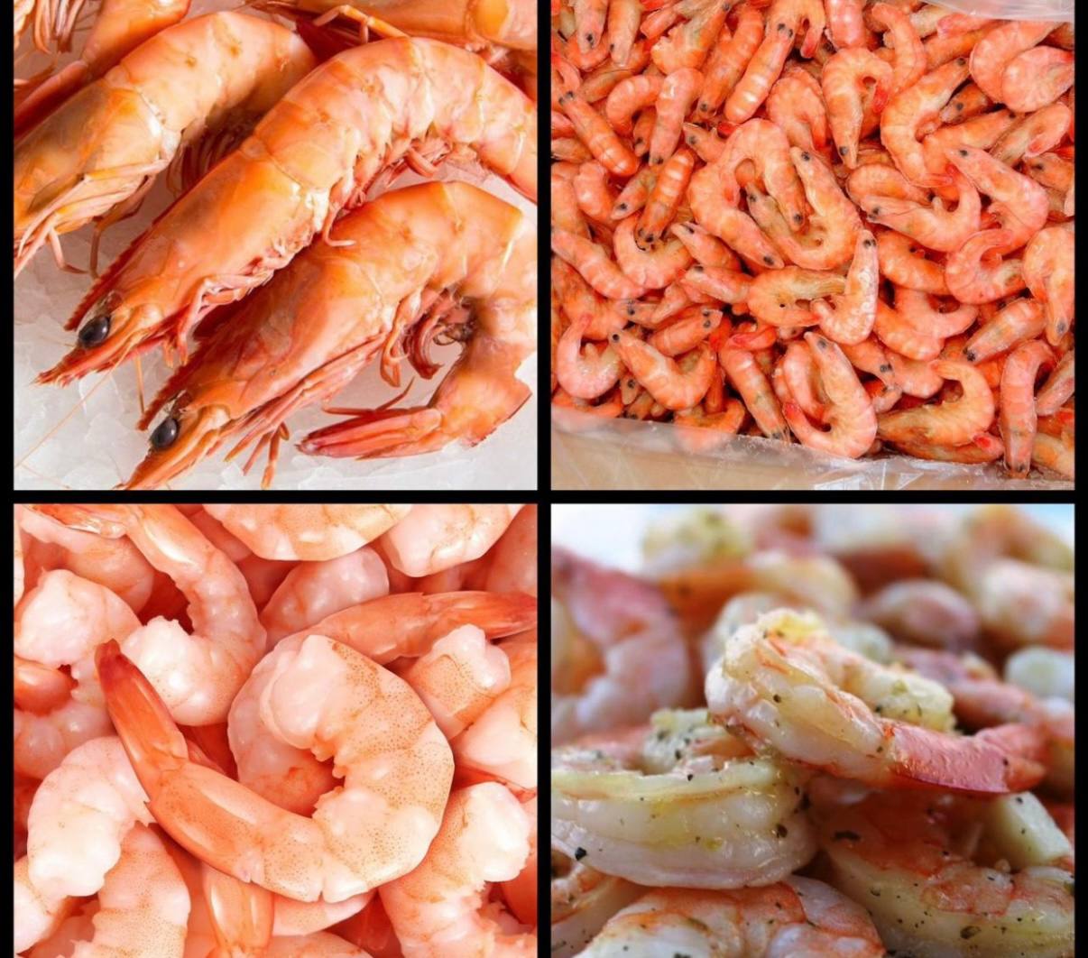 Креветка королевская штучной заморозки - частное объявление в Артём