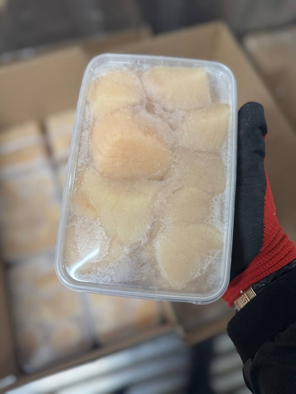 Вылов Сахалин - Хобби и отдых в Хабаровск