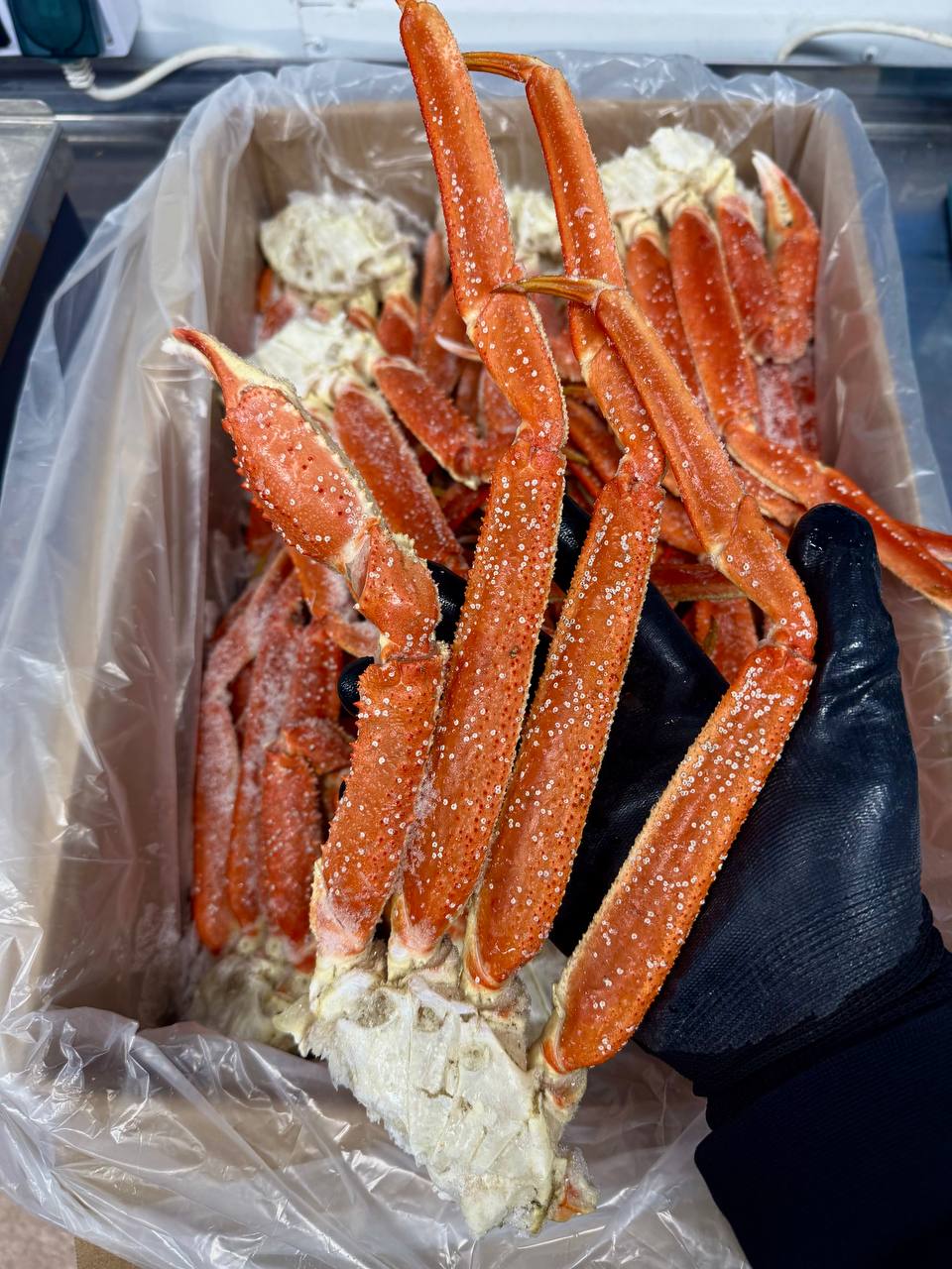 Кроссовки размер L - Одежда в Хабаровск