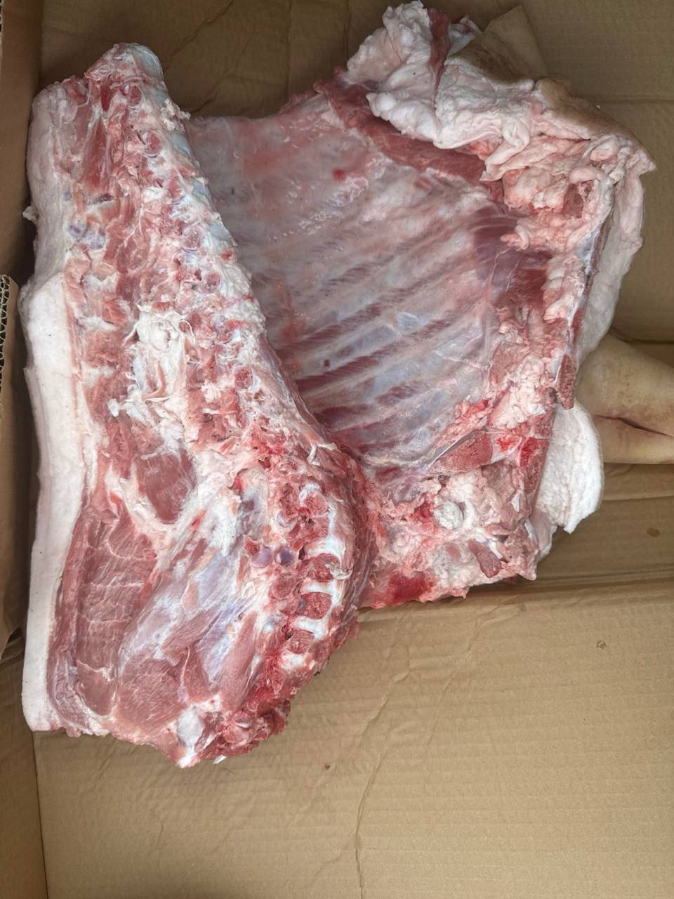 Домашняя молодая хрюшка - частное объявление в Оренбург