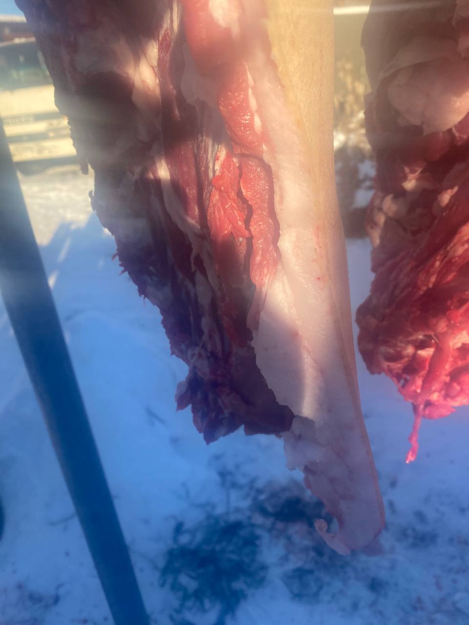 Продам задняя часть 21кг - Запчасти в Иркутск