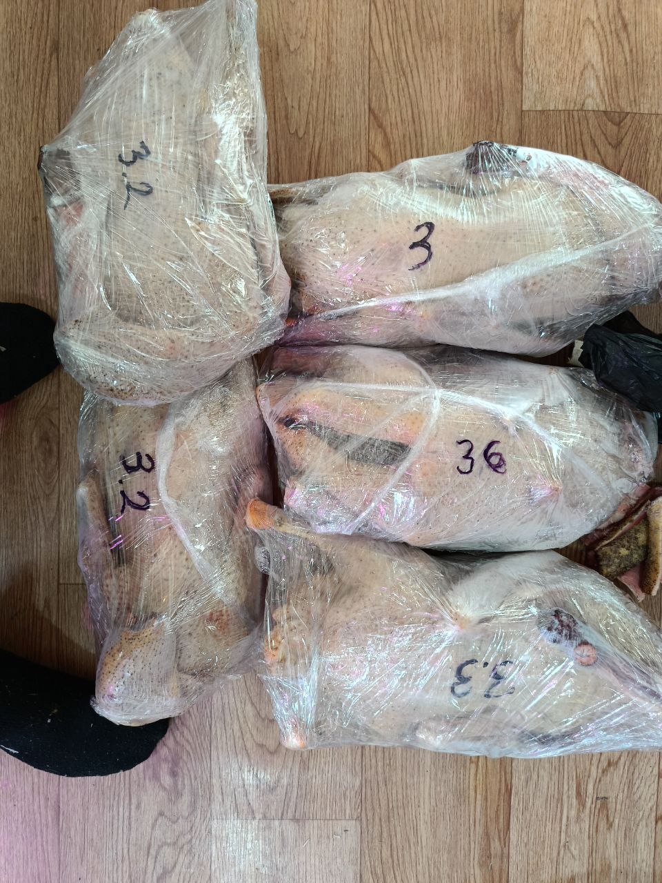 Продается мясо гуся со своего подворья - Животные в Иркутск