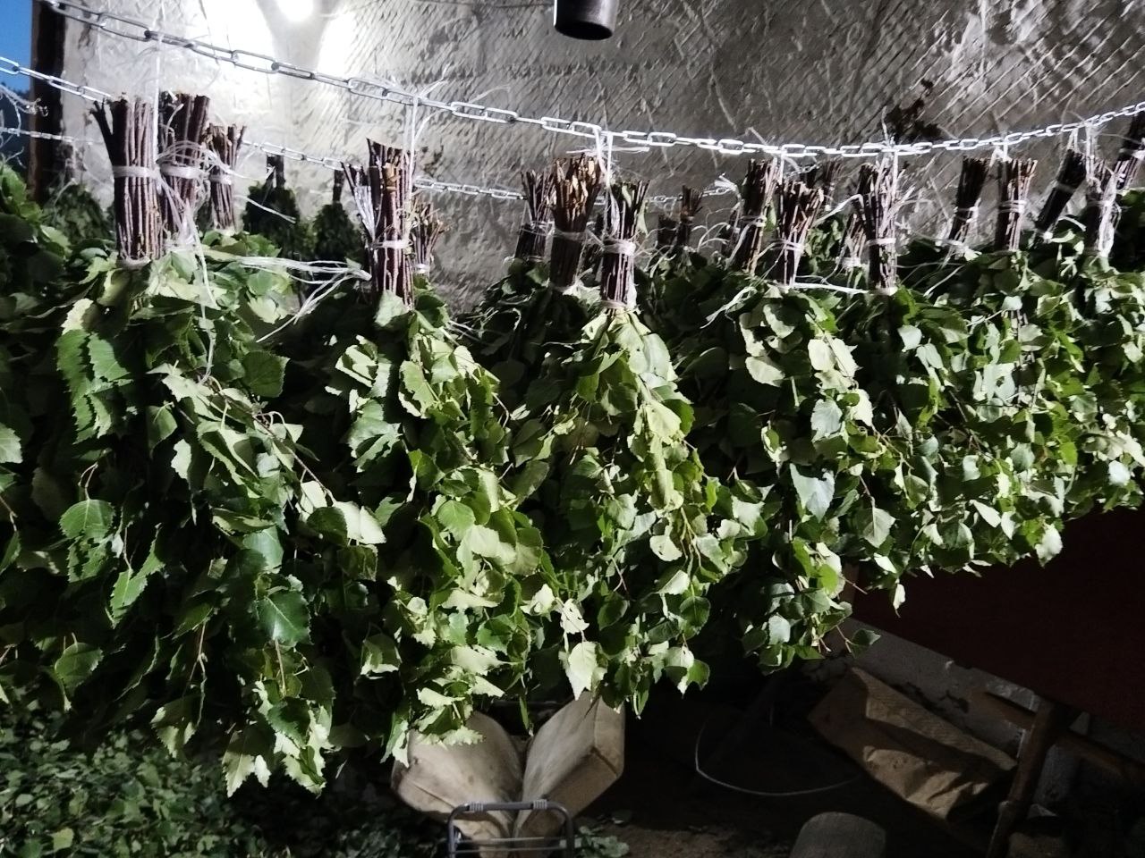 Продам веник берёзовый - Для дома и дачи в Иркутск