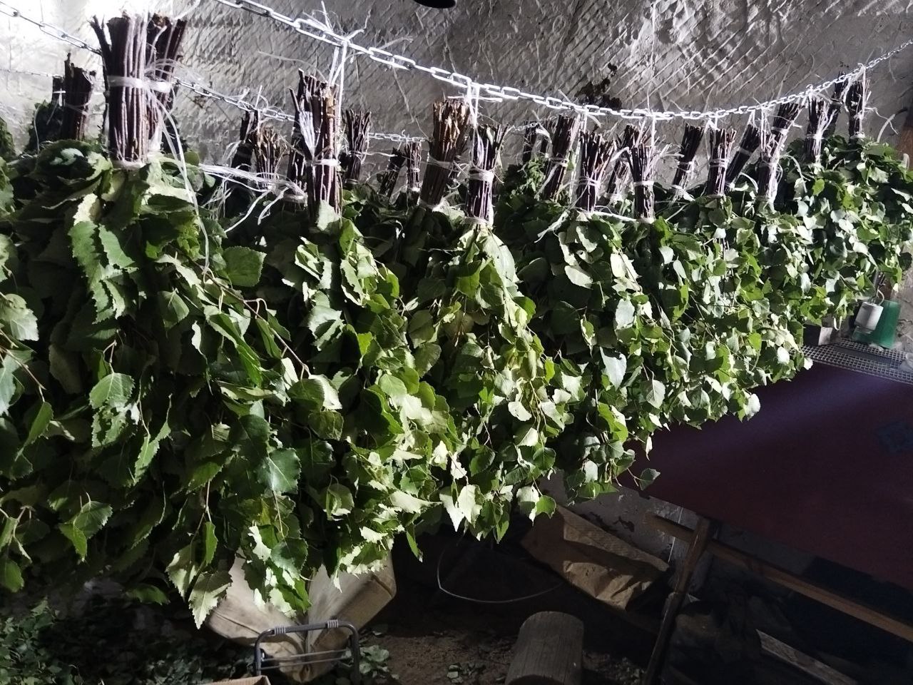 Продам веник берёзовый - Для дома и дачи в Иркутск - фото 2