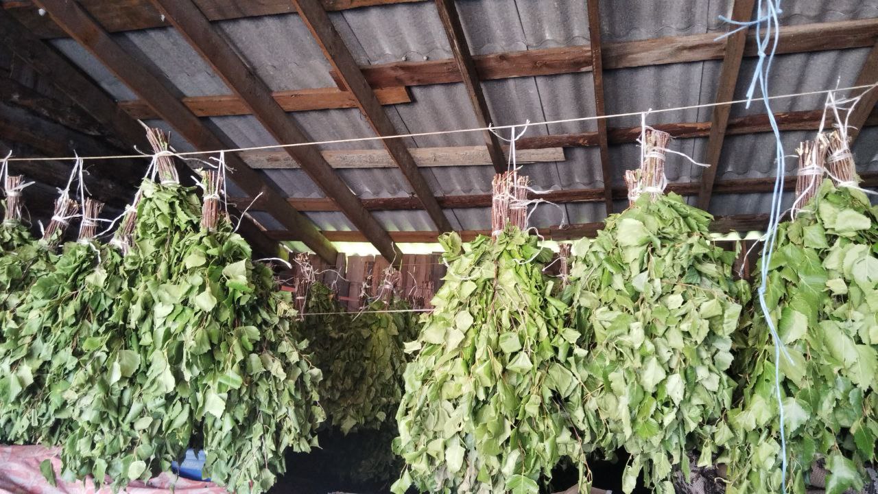 Продам веник берёзовый - Для дома и дачи в Иркутск - фото 3