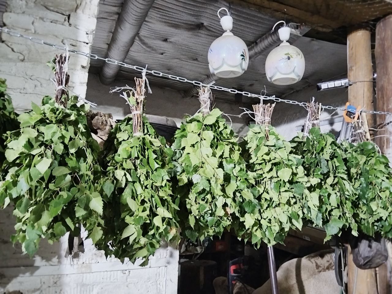 Продам веник берёзовый - Для дома и дачи в Иркутск - фото 4