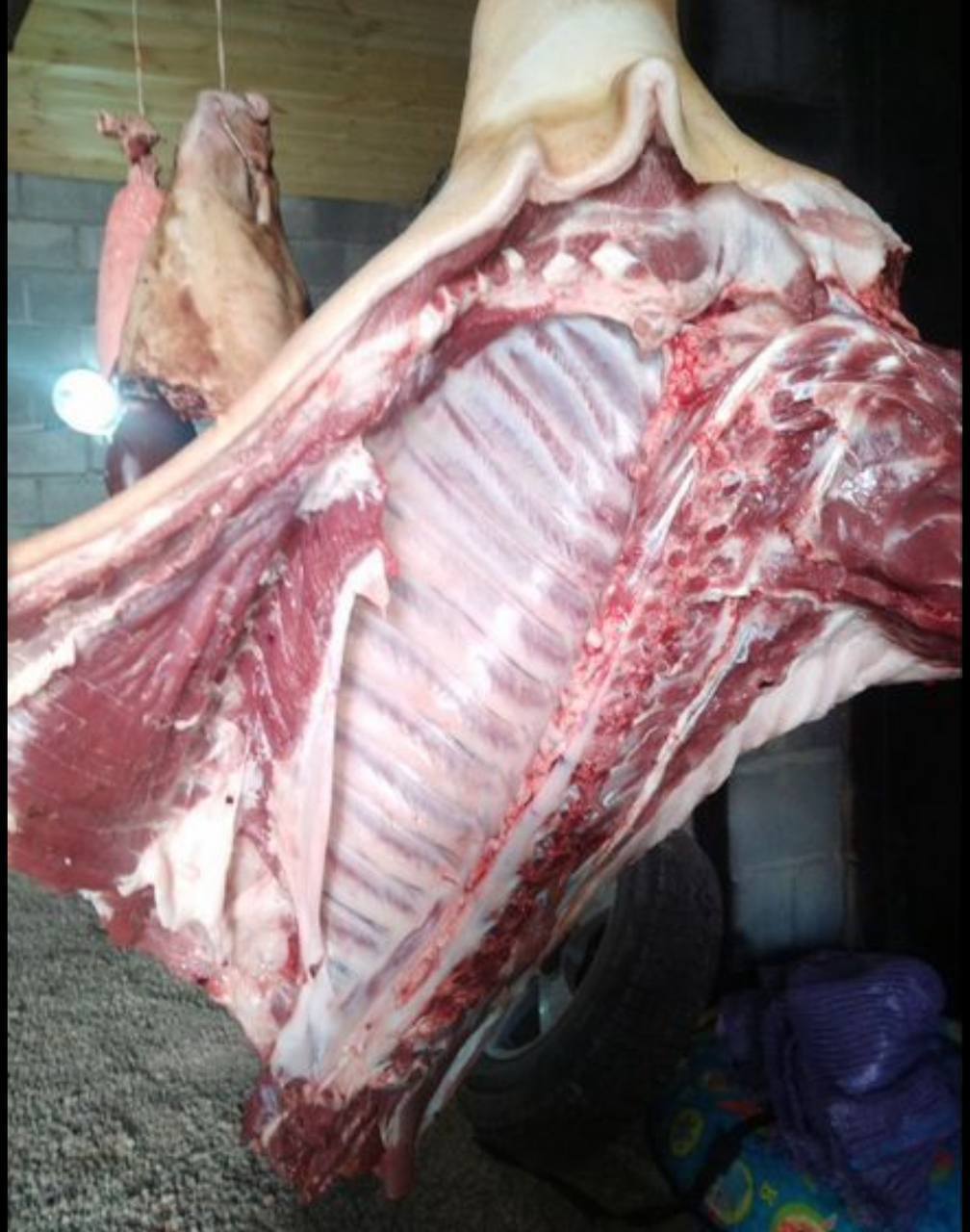 Свежее мясо со своего хозяйства - частное объявление в Иркутск