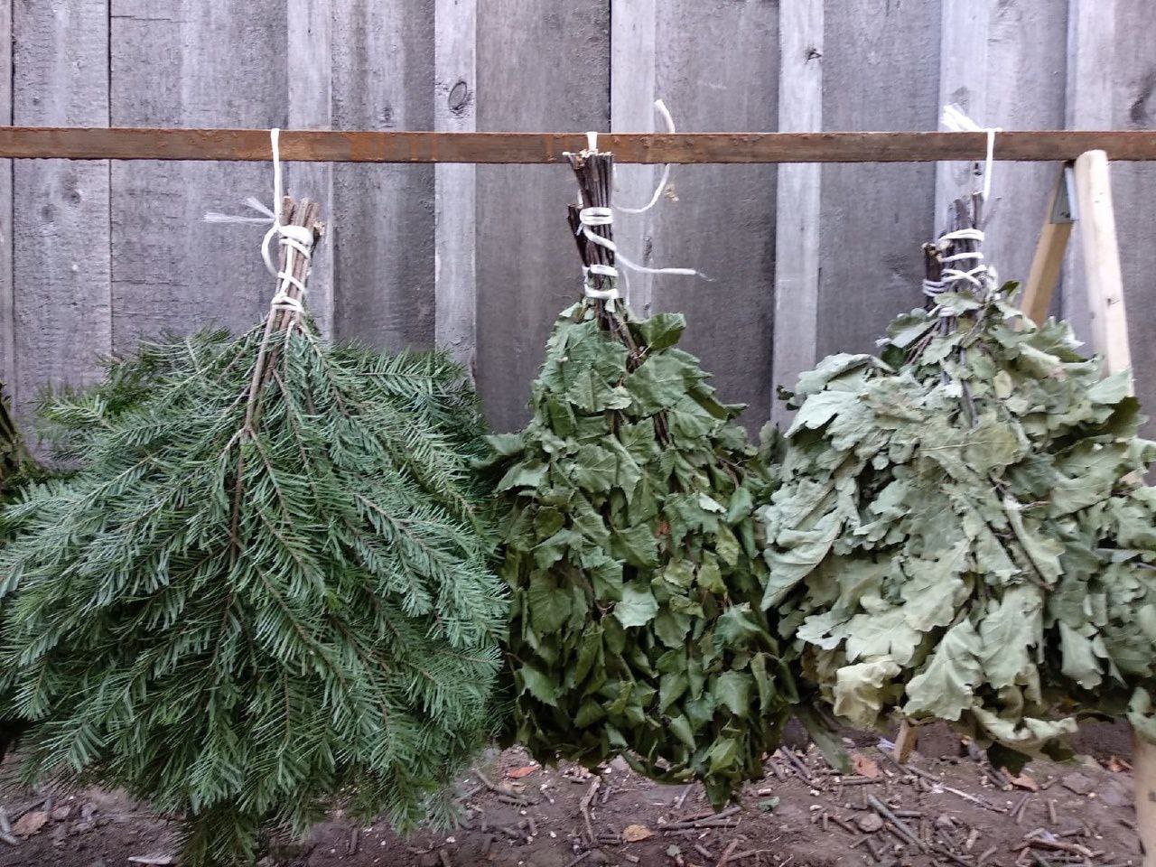 Веники банные разных пород - частное объявление в Нижний Новгород