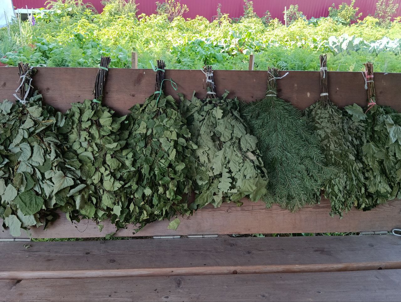 Веники для бани - Хобби и отдых в Нижний Новгород